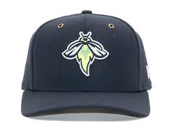 Columbia Fireflies MiLB 9Fifty Snapback